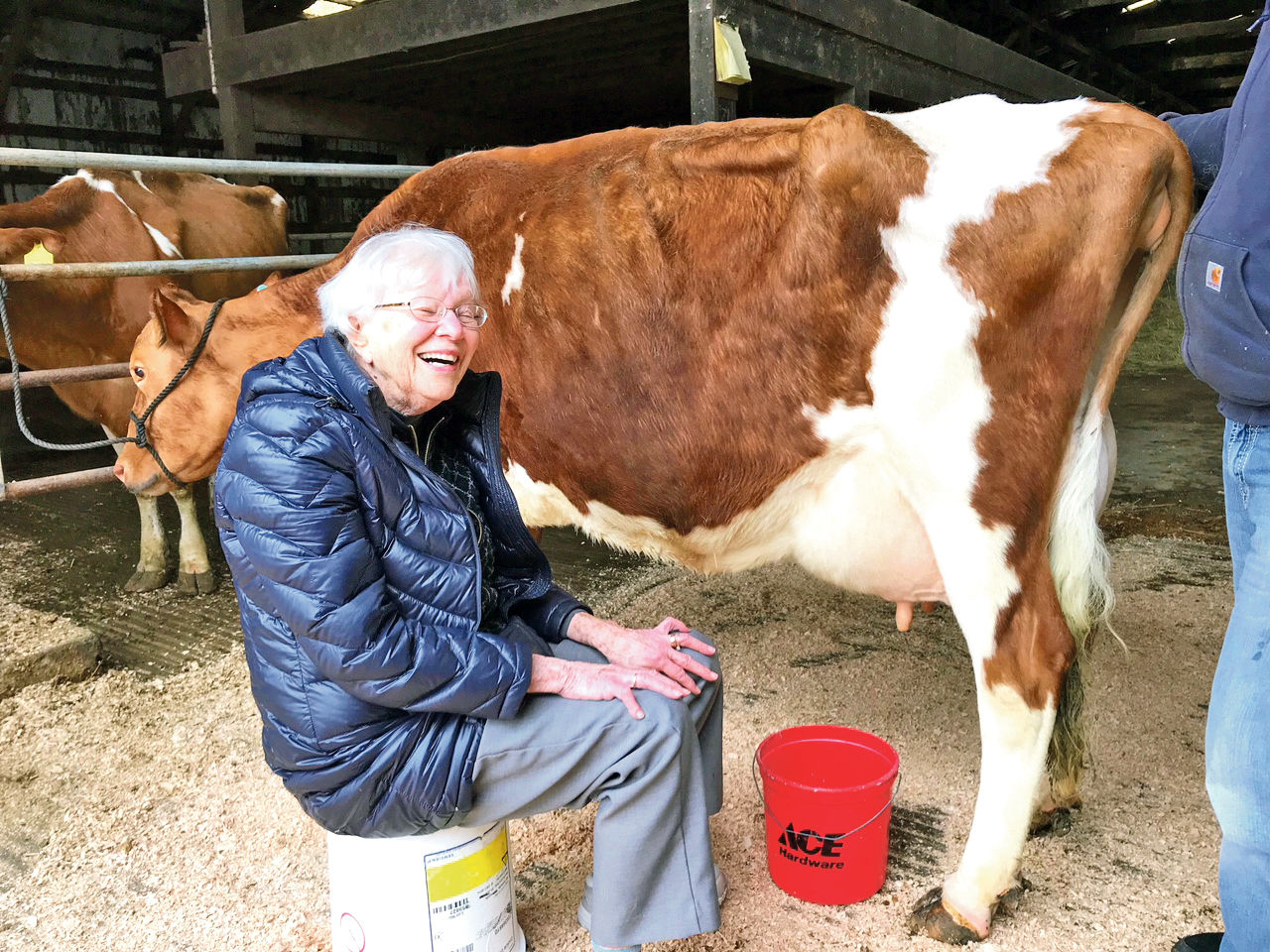 Lady and her cow